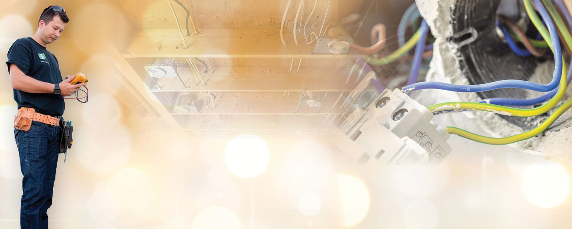 UPS maintenance services